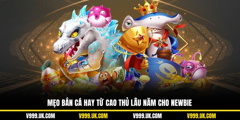 Mẹo bắn cá hay từ cao thủ lâu năm cho newbie
