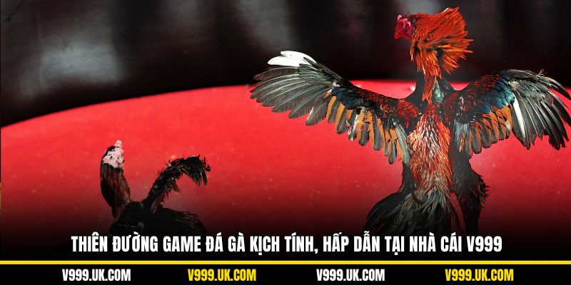 Thiên đường game đá gà kịch tính, hấp dẫn tại nhà cái V999